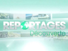 Reportages découverte TF1